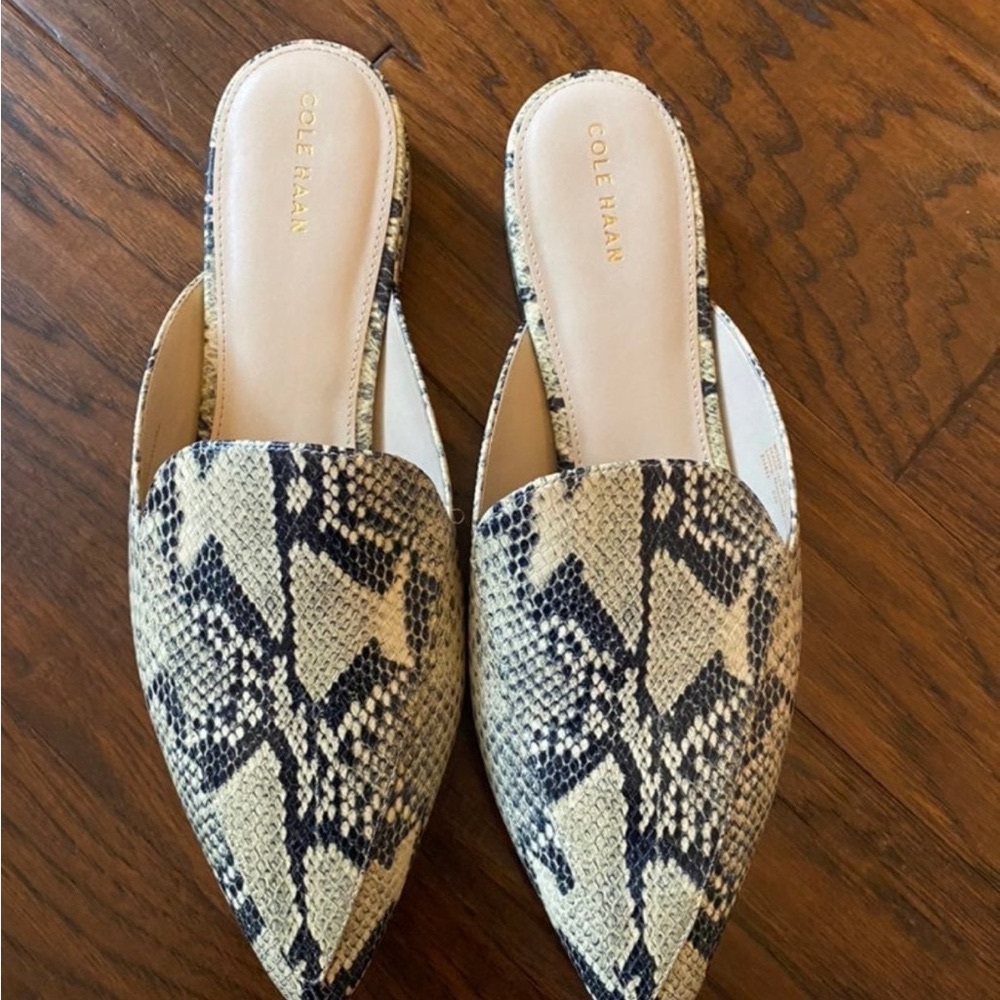 Cole Haan snakeskin slip on mules
Size 10 1/2